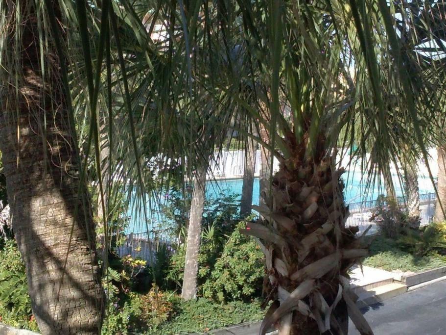 克利尔沃特Beach Getaway III At Belleview公寓 外观 照片